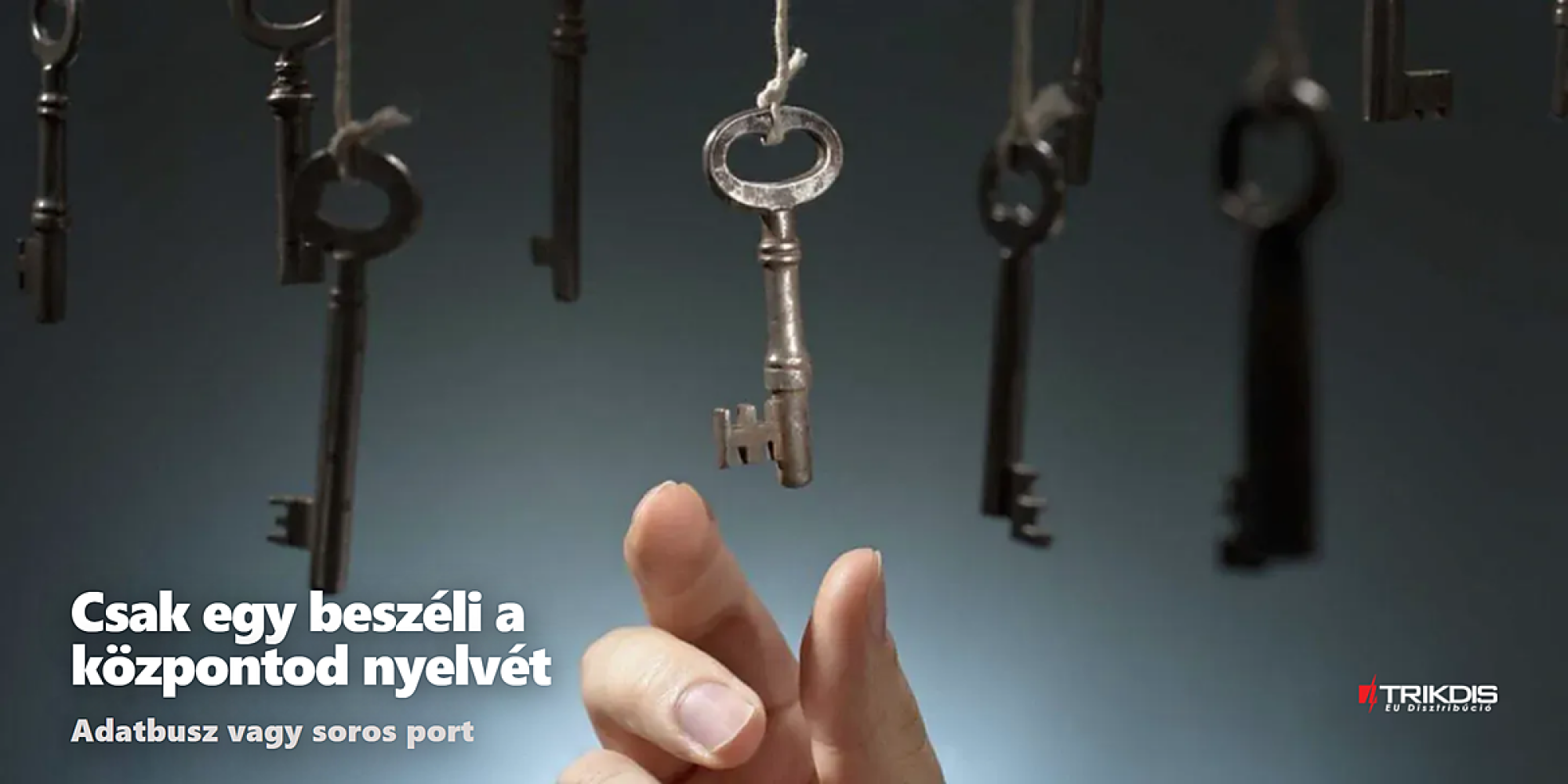 Riasztóközpont közvetlen vezérlés adatbusz vagy soros port csatlakoztatással Riasztóközpont közvetlen vezérlés adatbusz vagy soros port csatlakoztatással