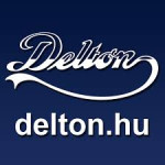 Delton Vagyonvédelem